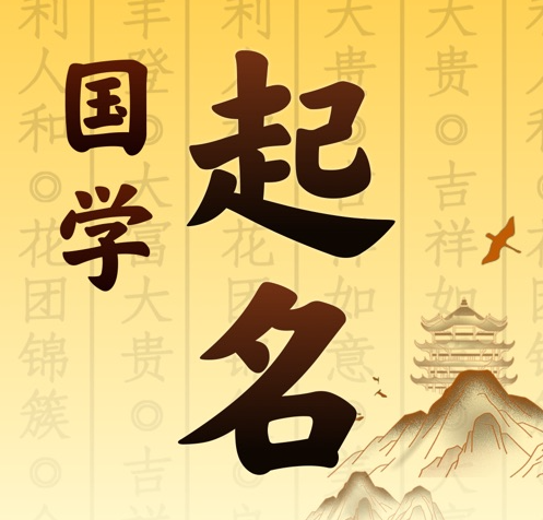 下城国学起名 人工起名一对一